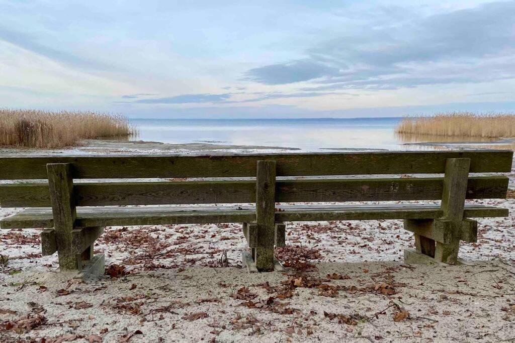 Strandnahe Mit Floss Apartment Mirow